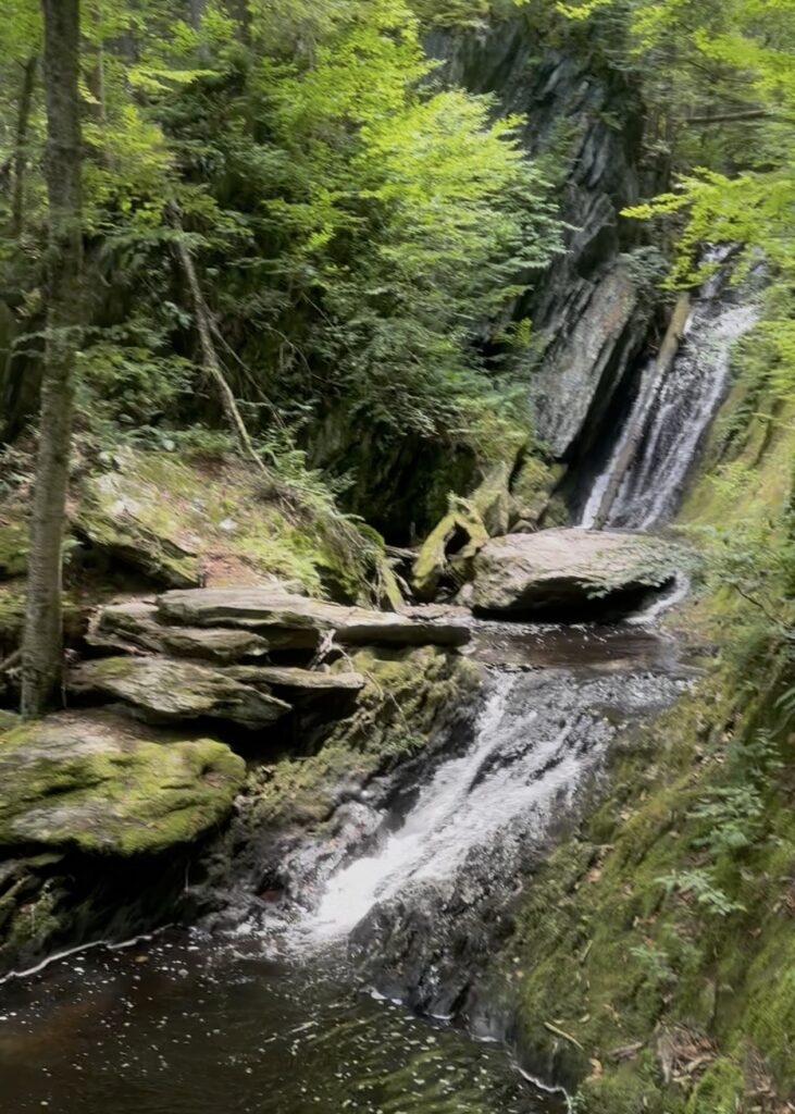 A calm forest waterfall, the kind of scene featured in the guided video meditations